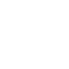 Corin