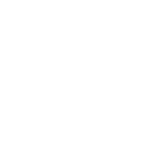 Holiday Exclusives